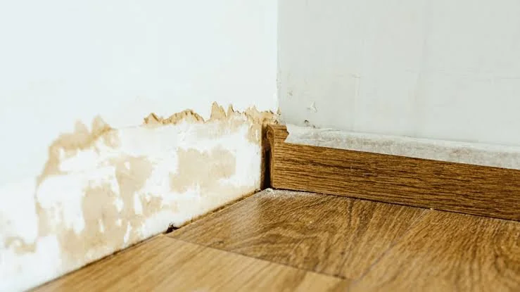 Moisture-damaged skirting that should be replaced rather than covered